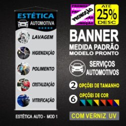 BANNER MEDIDA PADRÃO - ESTÉTICA AUTO MOD 1
